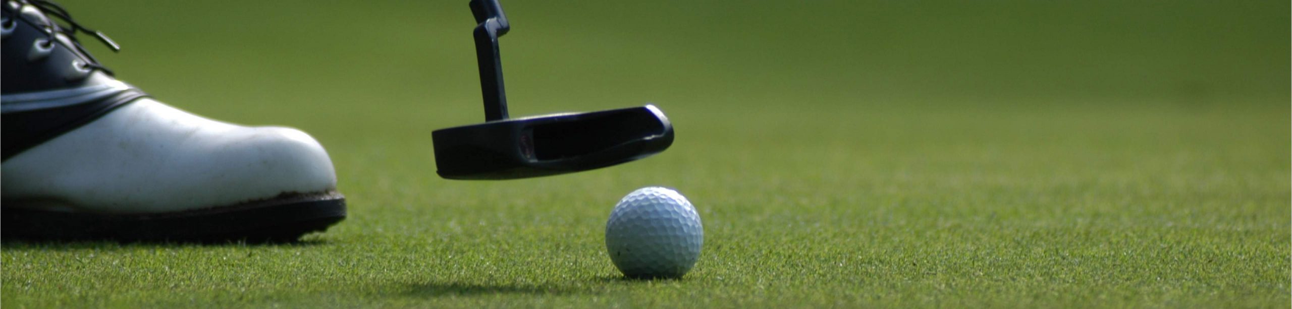 30th Eskenazi Health Foundation Golf Outing Sponsors