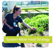 System-Wide Food Strategy